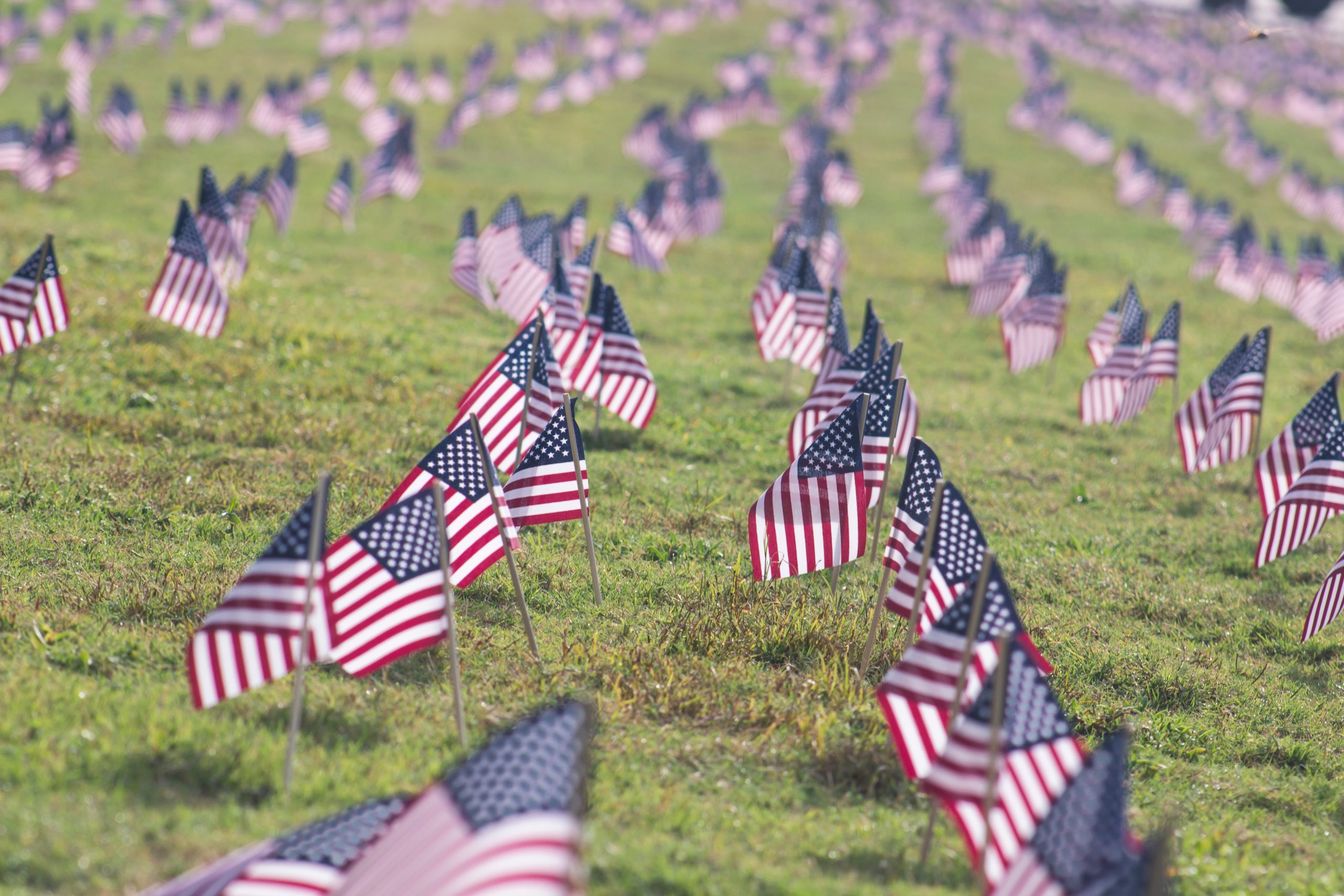 A Different Kind of Memorial Day