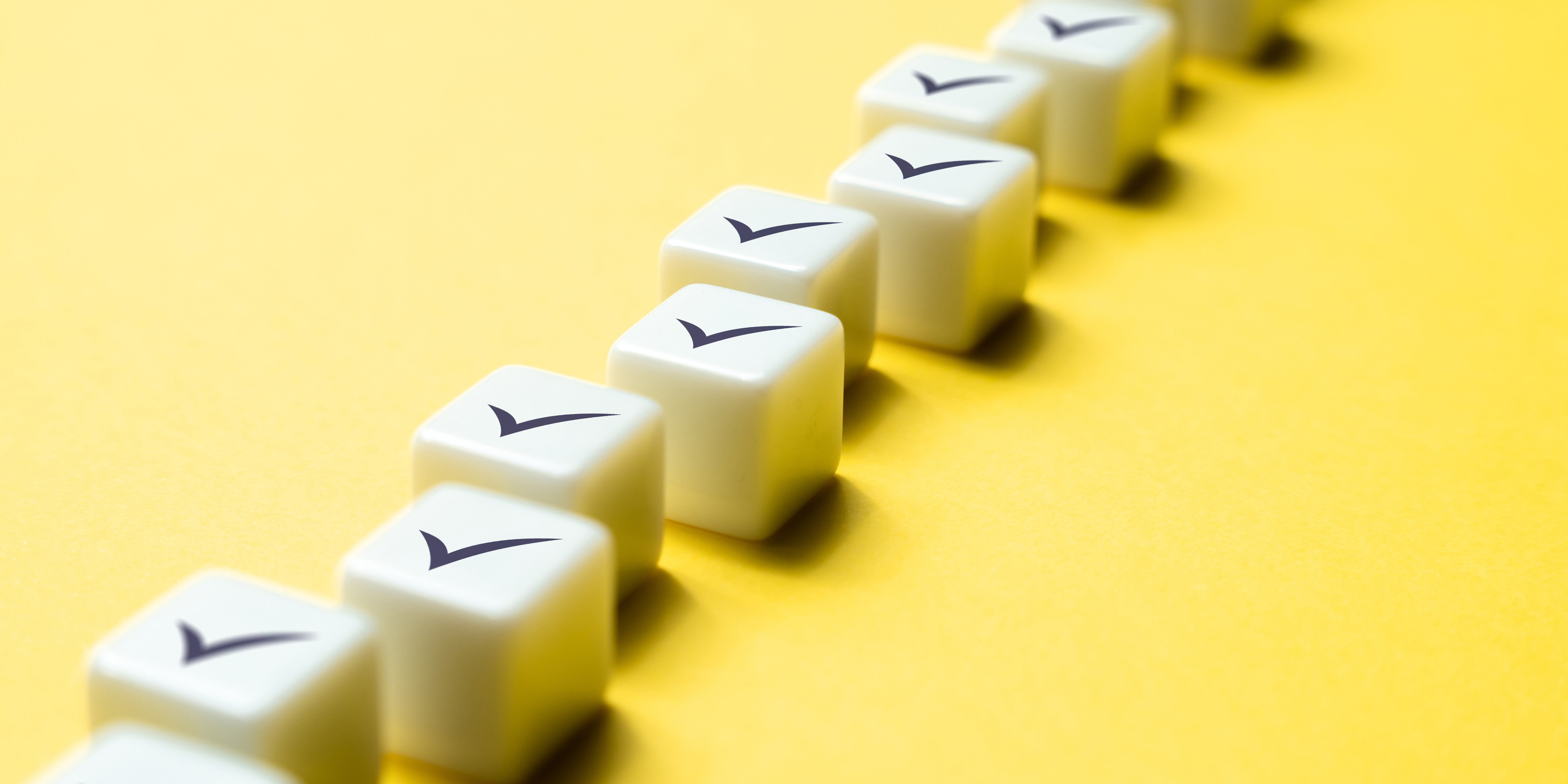 A Year in Company Finances: Your Roadmap for Staying on Track